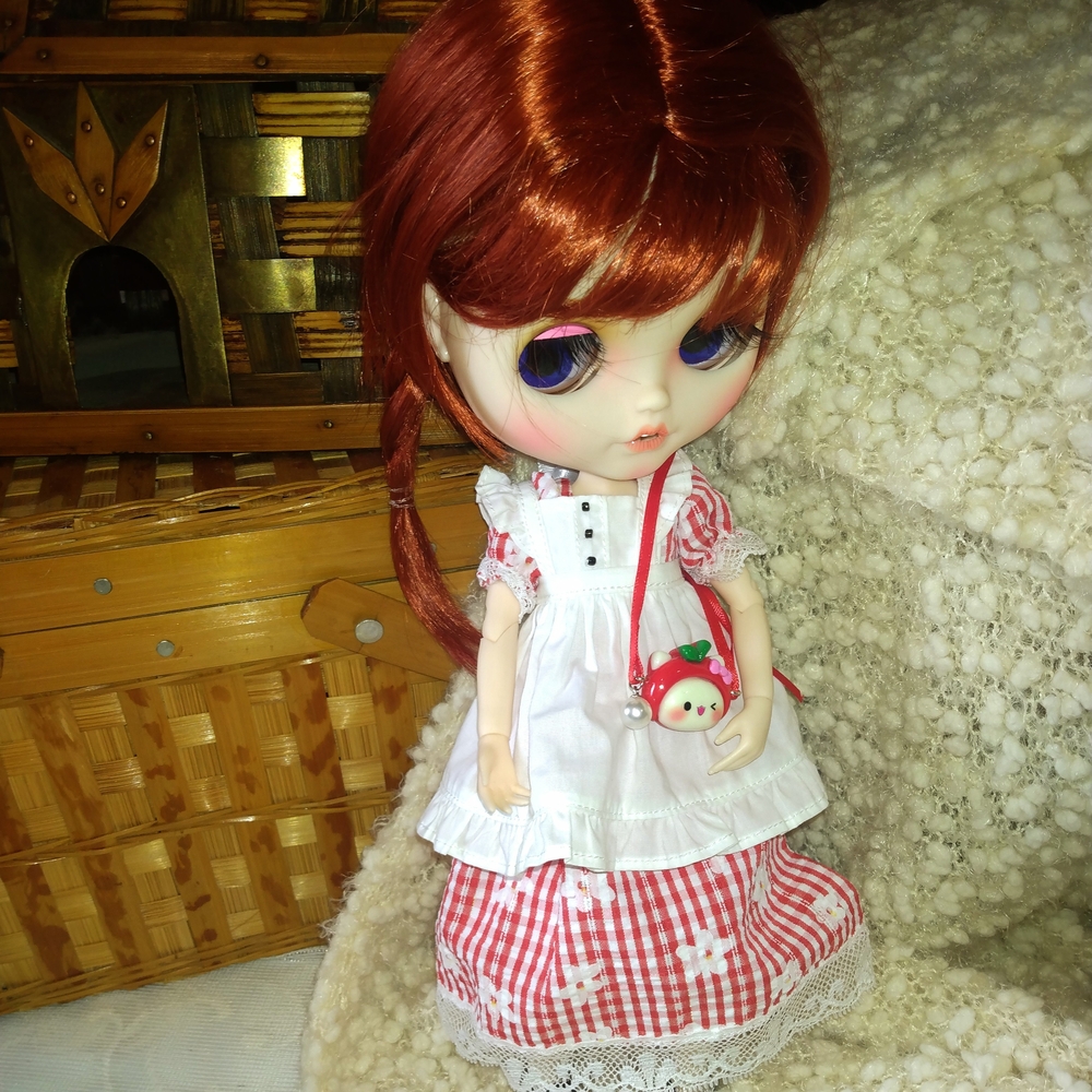 Blythe Doll Accessories